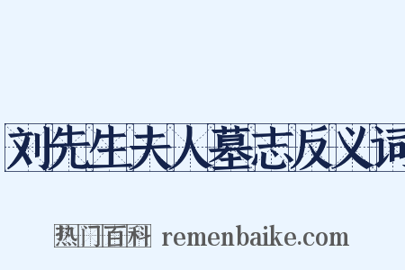 刘先生夫人墓志反义词是什么意思的图片